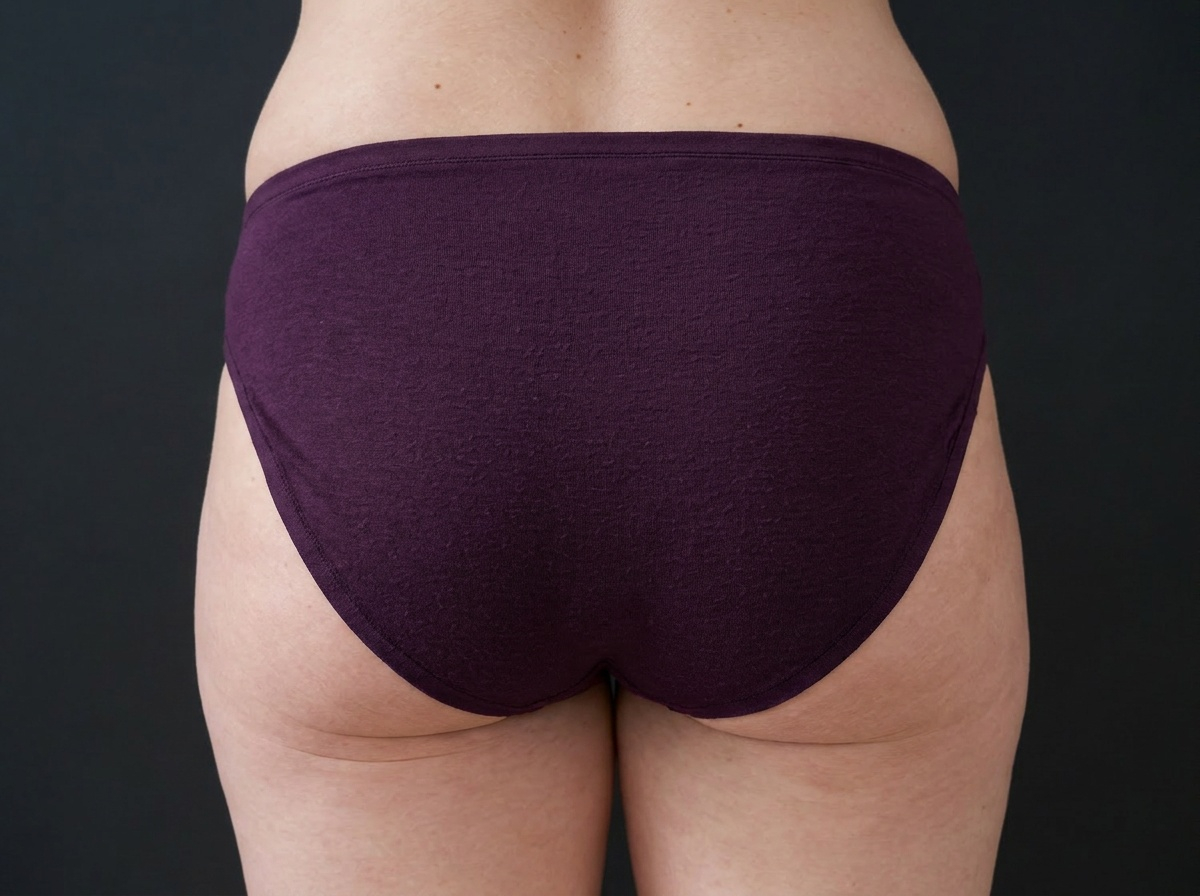 Slip Full Brief &mdash; Prune